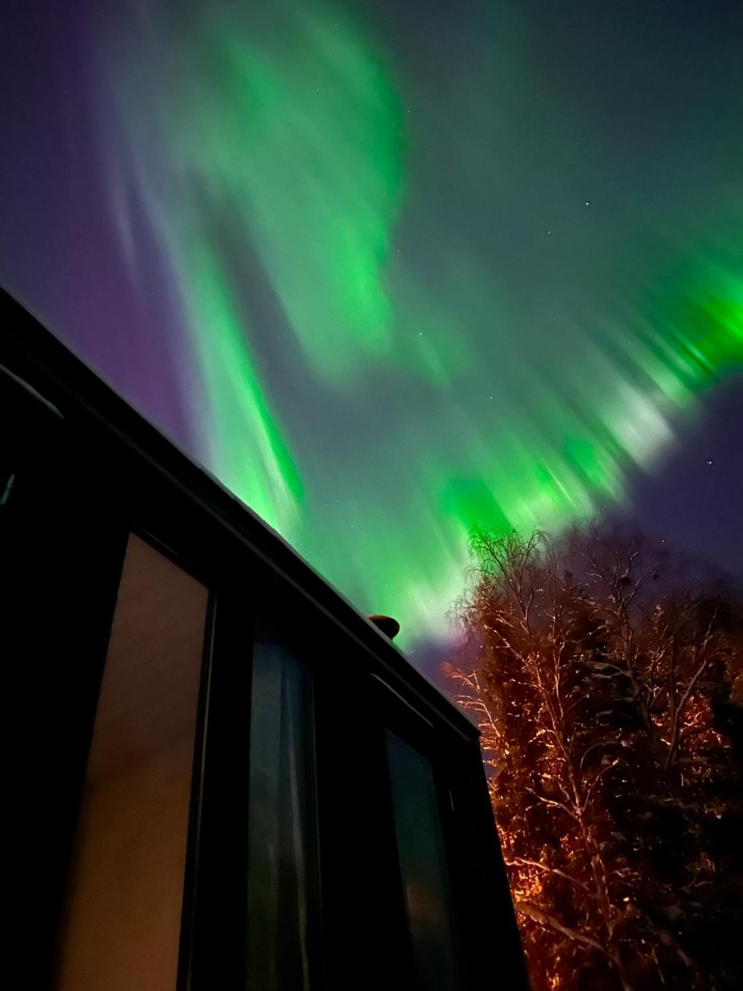 Aurora Forest Lodge Рованиеми Екстериор снимка